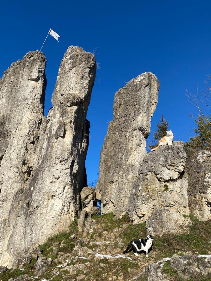 شقة Hiltpoltstein  في Gasthof Zur Sagemuhle المظهر الخارجي الصورة