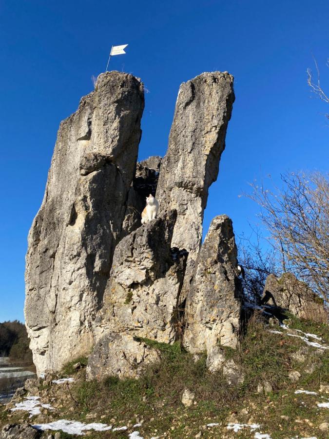 شقة Hiltpoltstein  في Gasthof Zur Sagemuhle المظهر الخارجي الصورة